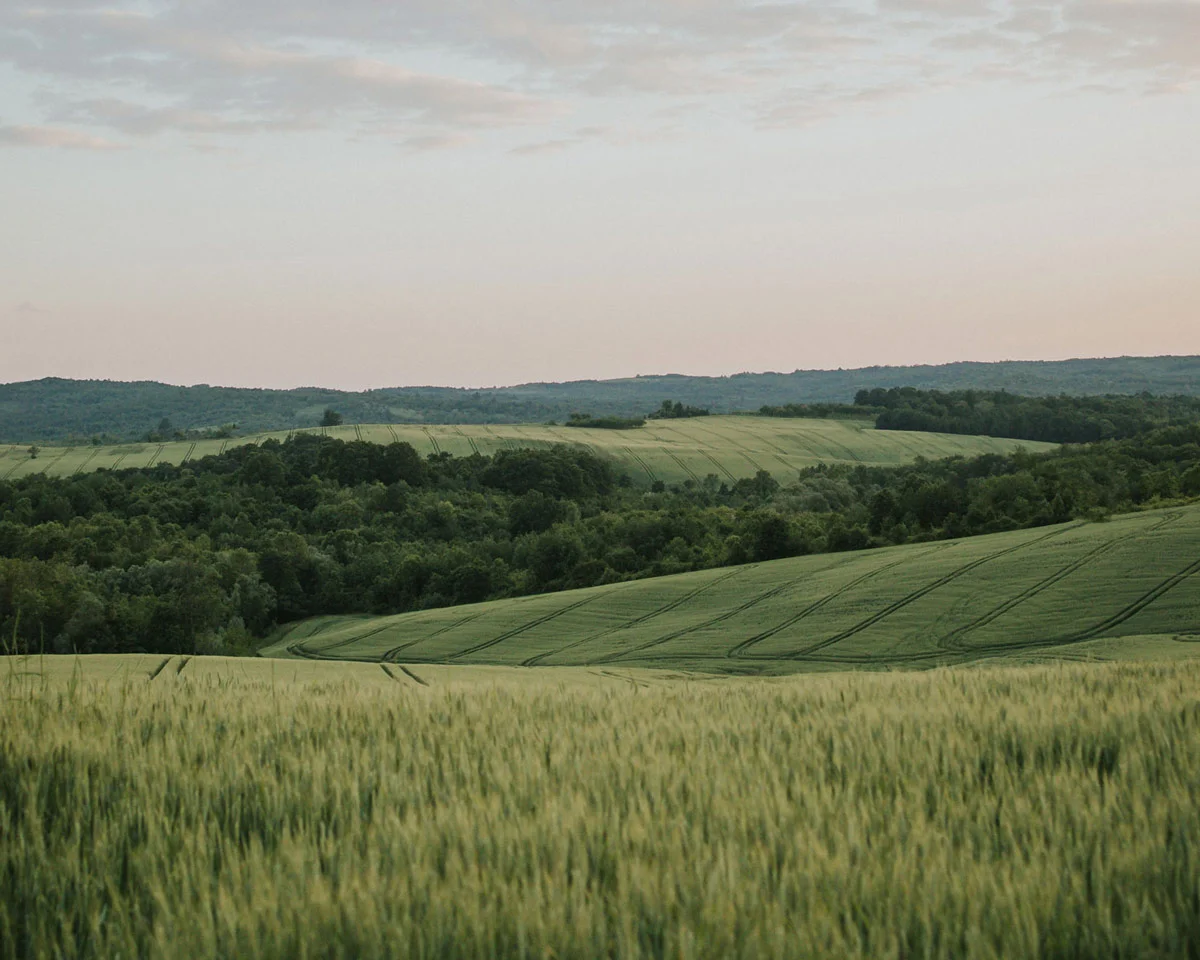 rohstoffe-szihn-landschaft-e05ff871